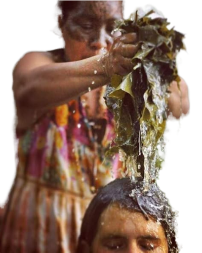 Ayahuasca sanctuary retreat