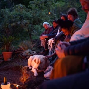 10 DAY AYAHUASCA AND SAN PEDRO RETREAT